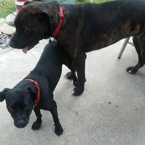 Meet your Posher, Jeanette